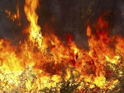 Πυρκαγιά σε στάβλο στο Παλαιοχώρι Γαστούνης