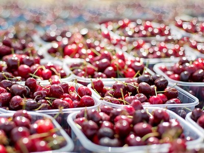 Τα κεράσια έγιναν luxury προϊόν: Πόσο κο...
