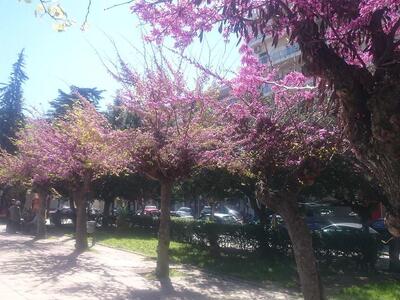 Πλατεία Ομονοίας.