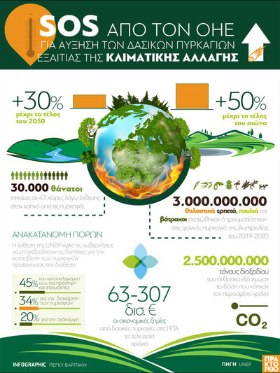 ΟΗΕ: SOS για αύξηση των δασικών πυρκαγιώ...
