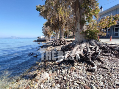 Δυτ. Ελλάδα: Παρατηρητήριο προσαρμογής σ...
