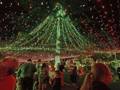 Στολίστηκαν για ρεκόρ Γκίνες - Το σπίτι ...