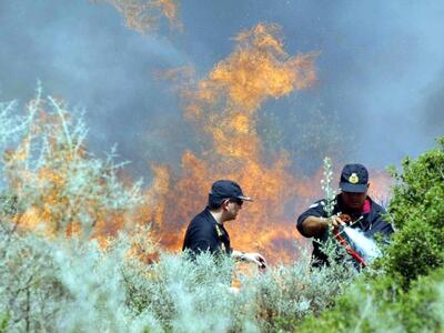 Φωτιά και στις Ορθονιές Ζακύνθου