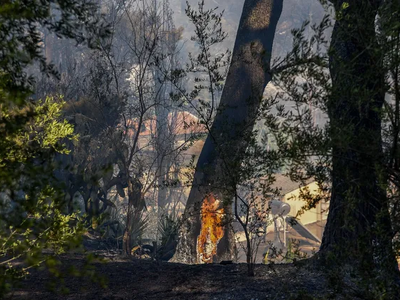 Χαλκιδική: Σύλληψη για πυρκαγιά στον δήμ...
