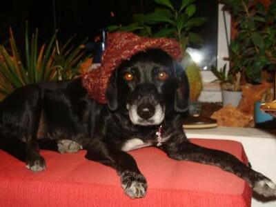 Πάτρα:Έξι μήνες καταδίκη για την κακοποί...