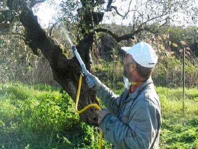 Ξεκινά την Δευτέρα 11/7 ο πρώτος γενικός...