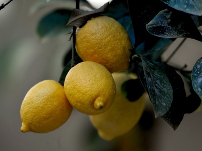 Μειώθηκαν οι εκμεταλλεύσεις σε όλα τα εί...