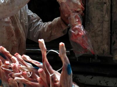 Πάτρα:Γενική συνέλευση και κοπή πίτας απ...