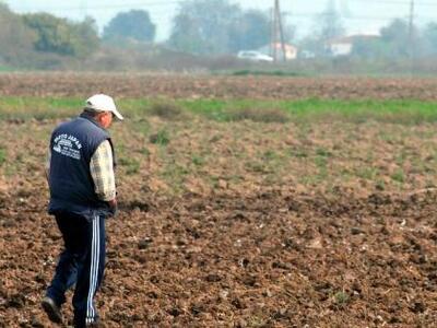 Αγρότες Ηλείας: Με τα λόγια δεν γίνεται ...