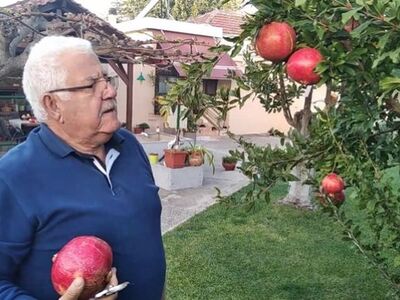 Ρόδι 2,5 κιλά - Το "θαυματουργό&quo...