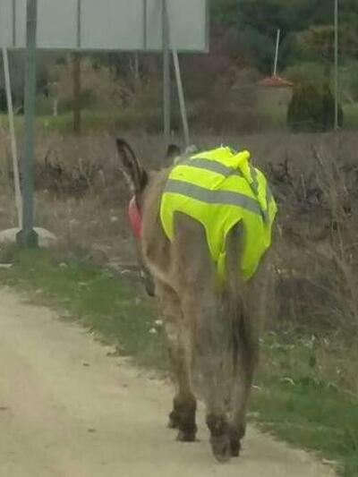 φωτο από facebook/Antonios Darzentas