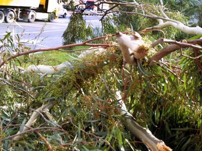 Δυτική Αχαΐα: Προειδοποίηση του Δήμου στ...