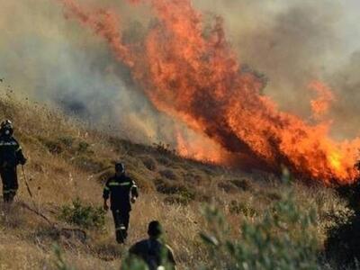 Αγρίνιο: Υπο μερικό έλεγχο πυρκαγιά σε δ...