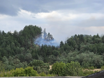 φωτό από greverniotis.gr