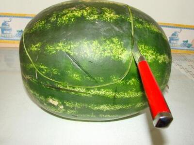 ΑΠΙΣΤΕΥΤΟ! Συνελήφθη επειδή μαχαίρωσε.. καρπούζι