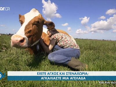 Έχετε άγχος και στεναχώρια; Αγκαλιάστε μ...