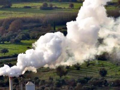 Αχαϊα: Πρόστιμο 6.250 ευρώ σε πυρηνελαιο...