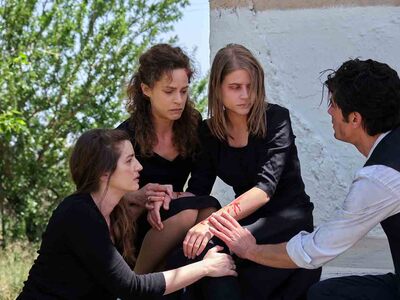 Άγριες Μέλισσες: Φωτογραφίες από το τελε...