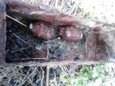 Παναιτώλιο: Ετοιμαζόταν για πόλεμο; 45χρ...