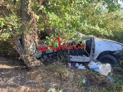 Φωτογραφία delalis.gr