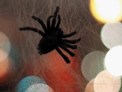 Ήθελε να σκοτώσει μια αράχνη και ανατίνα...