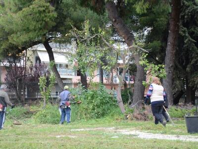 Πάτρα: Τον κήπο του Σκαγιοπουλείου καθάρ...