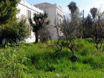 Πάτρα: Χωρίς φροντίδα πάλι το Σκαγιοπούλ...