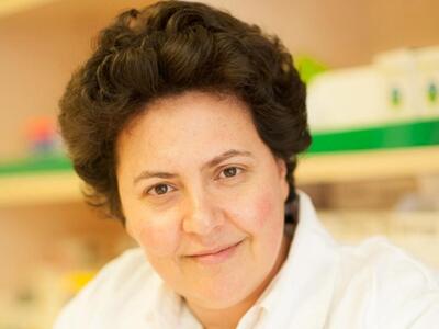 Α. Τραχήλη: Το 2019 και η  μεγάλη ευκαιρ...