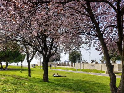 Καιρός: Μετά τα 30άρια του Σαββατοκύριακ...