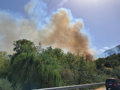 Εφημερίδα "Φιλόδημος" Αιγίου
