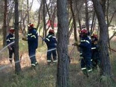 ΣτΕ: «Πράσινο φως» για 1.578 εποχικούς π...
