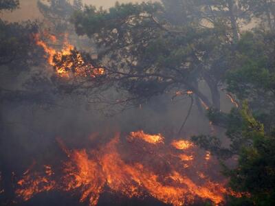 Δυτική Ελλάδα: Yψηλός κίνδυνος πυρκαγιάς...