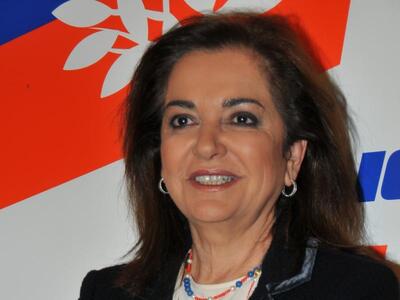 Προτάσεις της ΔΗ. ΣΥ. για το θαλάσσιο μέ...