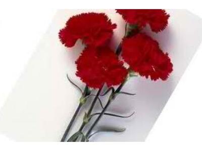 Απεβίωσε ο καθηγητής κλασικής Αρχαιολογί...