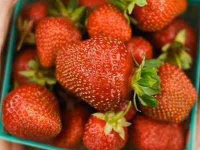 Γιόρτασαν μέχρι το πρωί στην 3η Γιορτή Φ...