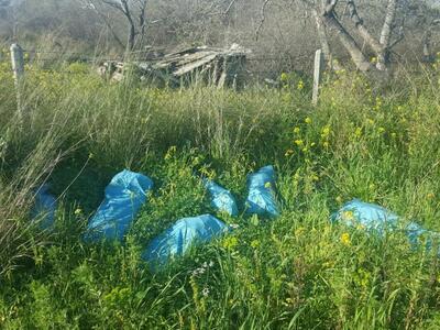 Κάποιοι πιο.. νοικοκύριδες έχουν τυλίξει...