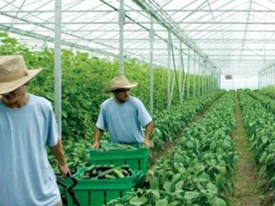 Πρόγραμμα μετατροπής γεωργικών αποβλήτων...