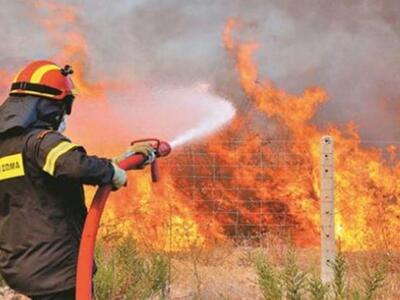 Αιτωλοακαρνανία: Φωτιά το πρωί στον Δρυμό 