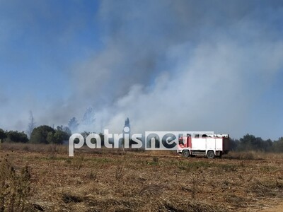 Ηλεία: Φωτιά σε Δουνέικα και Σαβάλια- Στ...