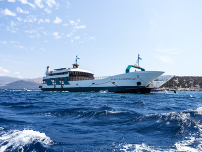 Νέα Στύρα: Απομακρύνθηκαν τα πρώτα οχήμα...