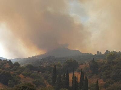 Περιστερι Ηλείας