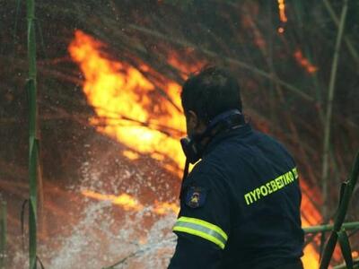 Ζάκυνθος: Σε εξέλιξη πυρκαγιά στο χωριό Αργάσι