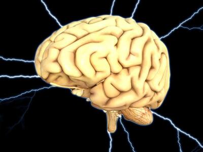 Ελβετική έρευνα: Ο ανθρώπινος εγκέφαλος ...