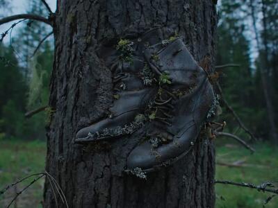 Περπατώ (ακόμα) εις το δάσος με τον Τζού...