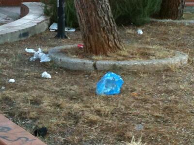 Πάτρα: Ασυνείδητοι γέμισαν με σκουπίδια ...