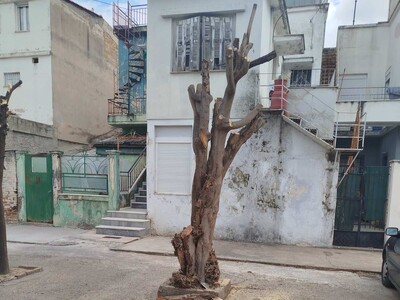 Πάτρα: Μήνυση από τον Δήμο για βανδαλισμ...