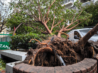Θεσσαλονίκη: Γρονθοκόπησε δημοτικό υπάλλ...