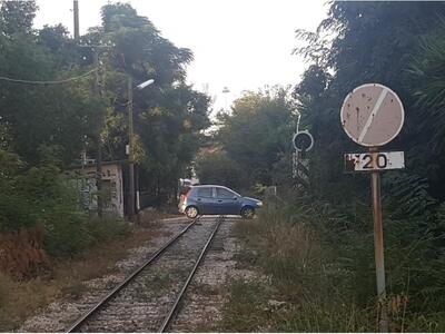 Η... "ζούγκλα" της οδού Αθηνών...