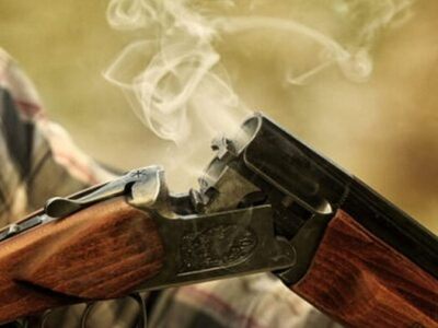 Άρτα: Μάχη για να κρατηθεί στη ζωή δίνει...