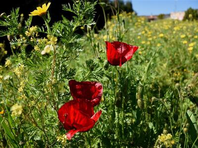 Αχαΐα: Τι καιρό θα κάνει το Πάσχα;